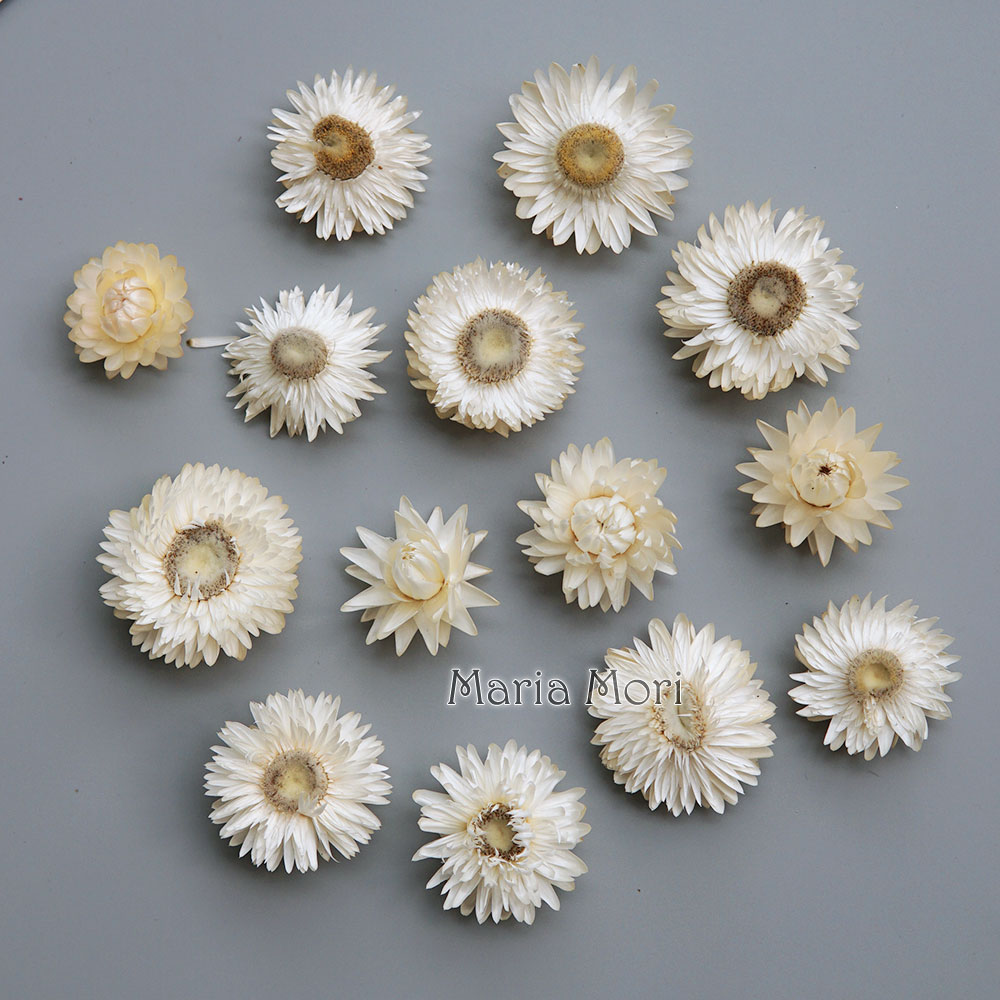 Holiday Candle Set - Natuurlijke Gedroogde Kleurrijke Chrysanthemum Krans Handgemaakte
