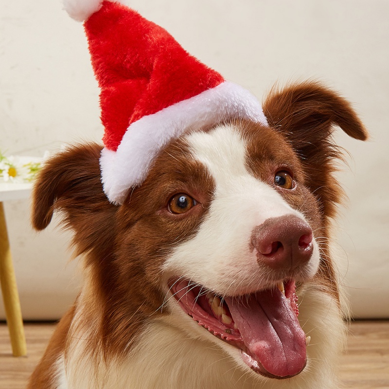 Santa Hat Plush - Hond Katten Hoed Kerstversiering Machinewasbaar Rode